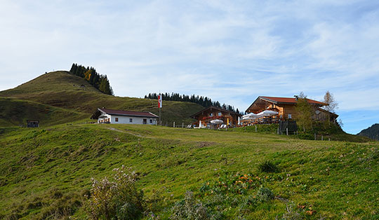 Burgeralm (1317 m)