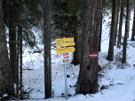 ... und beachten dabei stets den Wegweiser zur Bonner Hütte.