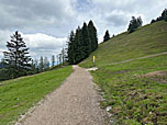 An der Verzweigung nach dem Bergwald...