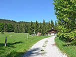 Wir folgen dem Forstweg weiter hinauf...