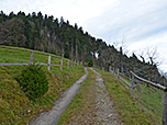 ...und folgen einem Karrenweg bergauf