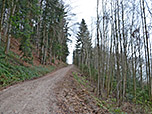 ...mündet in einen breiten Fahrweg