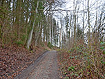 Nach der Unterführung geht die Teerstraße in einen Forstweg über