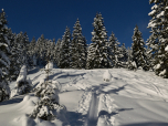 Winterwunderland