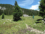 ...bis zum Parkplatz der Oberen Lacheralm