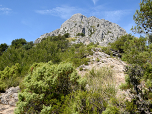 Vor uns die felsigen Wände des Puig de Galatzó